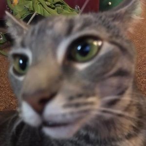 Meet your Posher, Ian